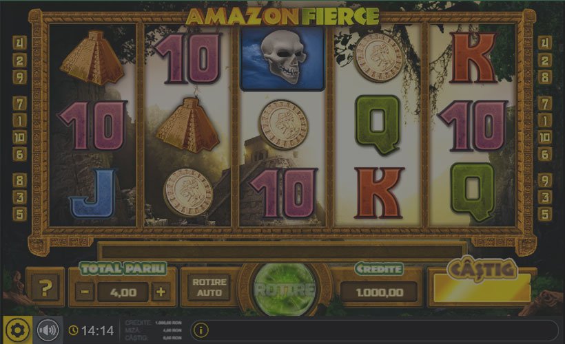 Amazon-Fierce