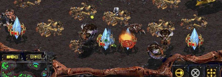 starcraft broodwar maxbet
