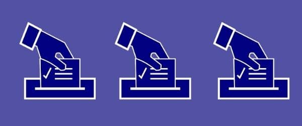 alegeri locale constanta vote