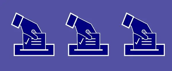 alegeri locale constanta vote