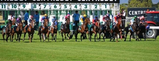 baumbet bonus pariuri curse cai