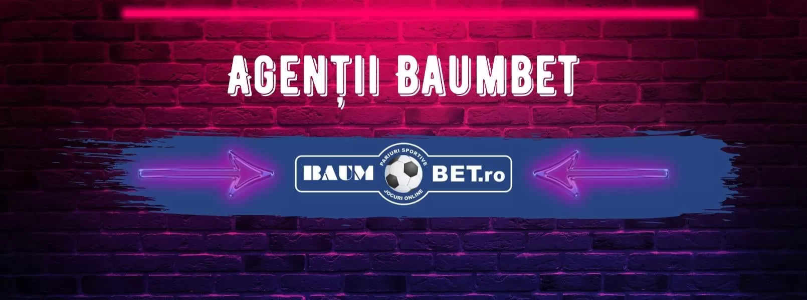agentii baumbet poza reprezentativa