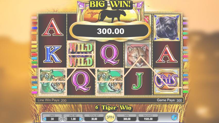 cats slot gratis