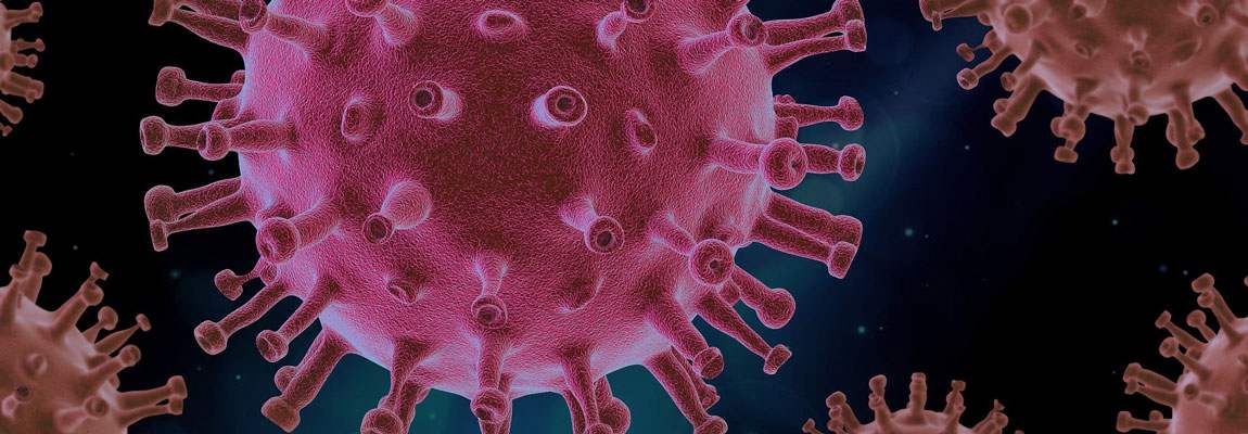 idei documentare despre epidemii din intrega lume