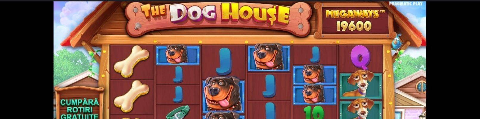 jucatori incepatori la casino dog house