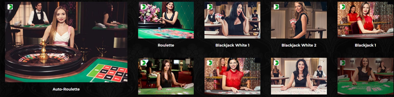 casino live maxbet dealeri