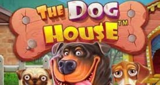 the dog house demo logo
