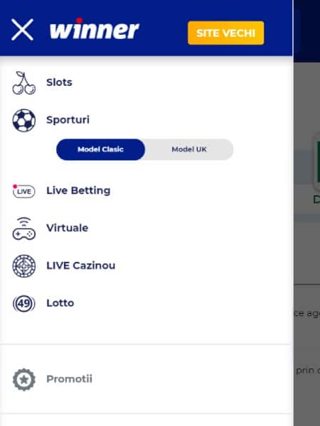 winner online interfata