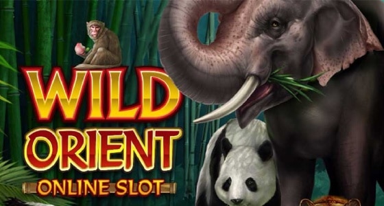 wild orient gratis logo 2021