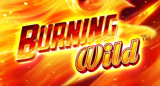 burning wilf online slot