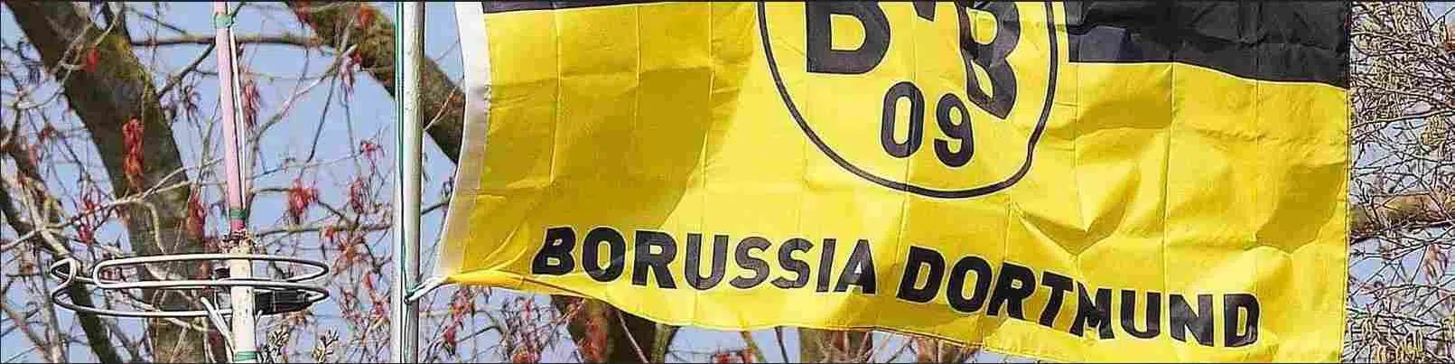 borussia echipe de fotbal germania