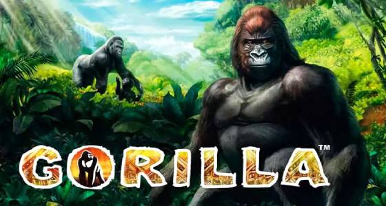 gorilla gratis slot cover