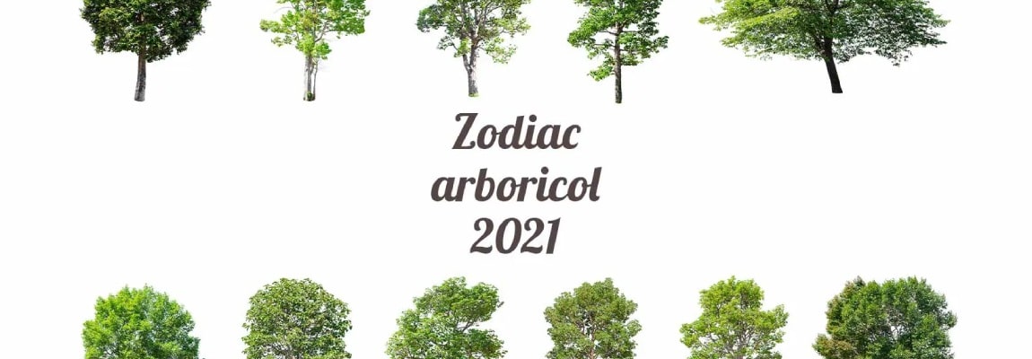 arboricol zodiac banner