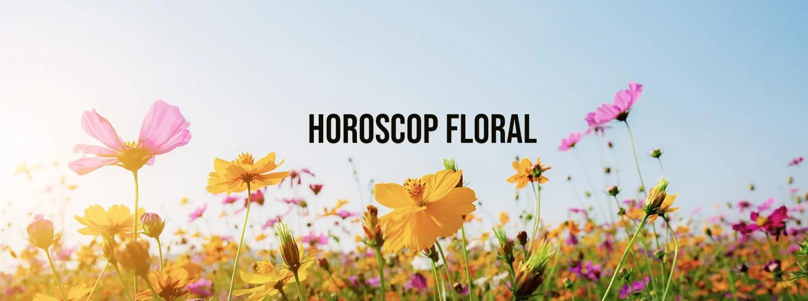 floral horoscop banner