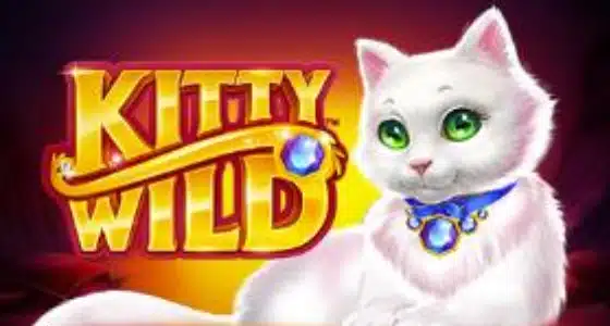 kitty wild demo