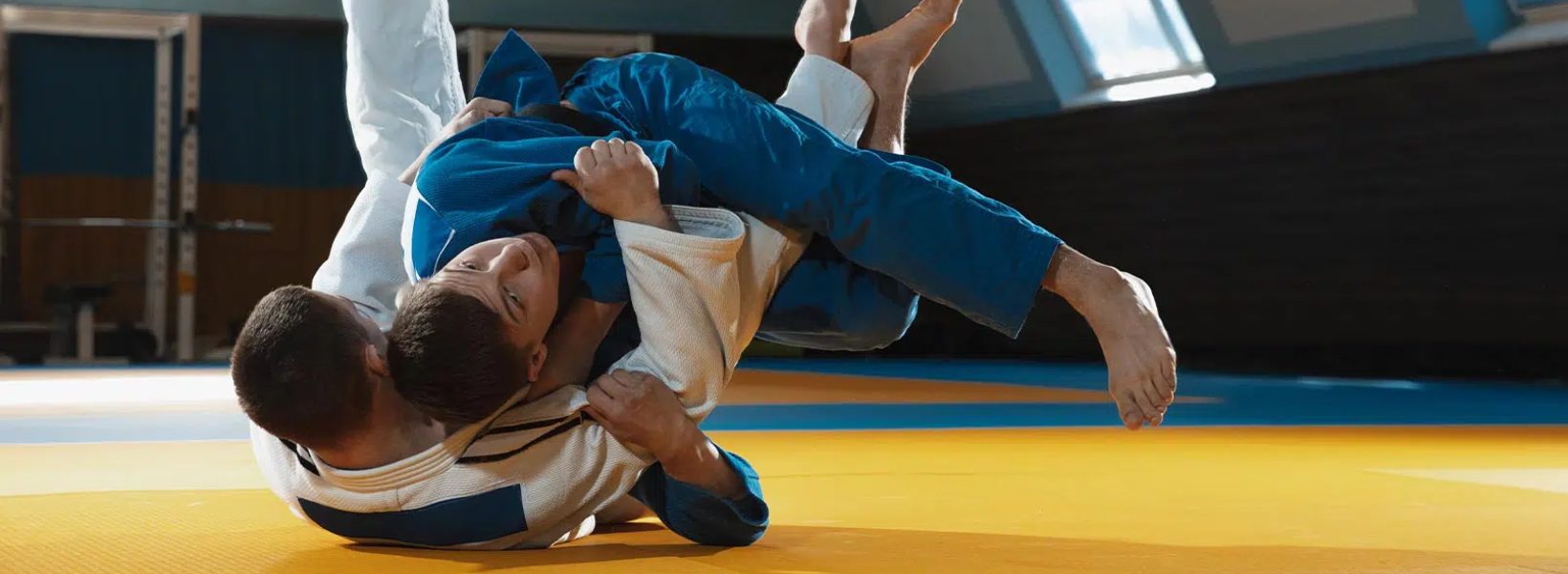 campionat european judo banner logo