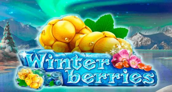 banner winterberries gratis