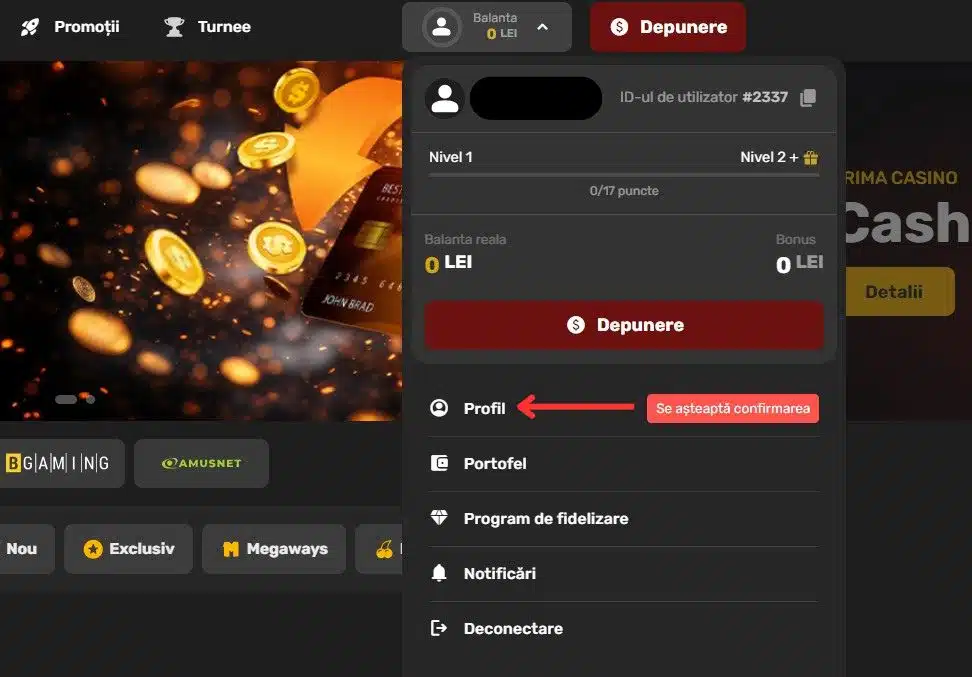 verificare cont prima casino