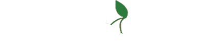 logo vivabet casino