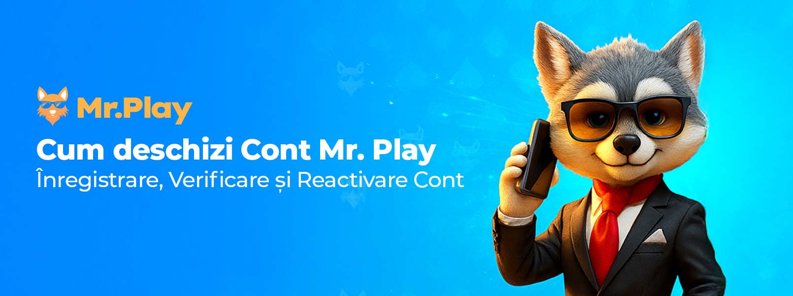 inregistrare si verificare cont mr play