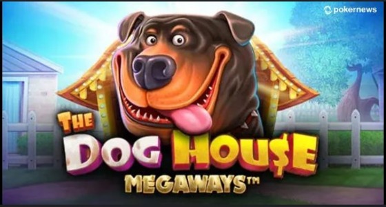 Sloturi Noi - The Dog House Megaways